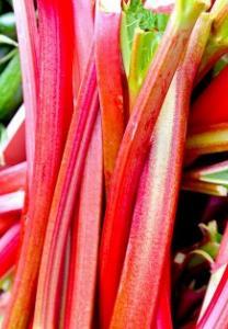 Vegetable Seed - Rhubarb RHUBARB Glaskins Perpetual Rheum rhabarbarum This variety is fast growing with long slender bright red stalks. It can handle a light harvest in its first year.