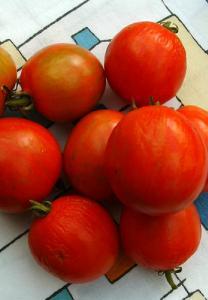 50 This heavy-cropping Russian heirloom produces flattish, soft-red tomatoes early in the season.