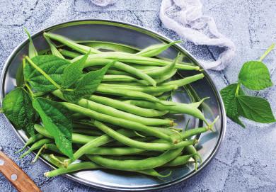 THANKSGIVING MEAL RECIPES (SERVES 6) GREEN BEANS 1 lb of green beans 2 tbl olive oil 1/4 cup lemon juice 1 tbl Dijon mustard Salt and pepper Cook green beans for 3-4 minutes in a pot of salted