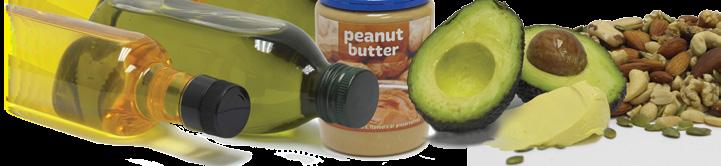 Word list grain foods & starchy vegetables healthy oils, nuts & seeds milk, yoghurt & cheese vegetables & fruit