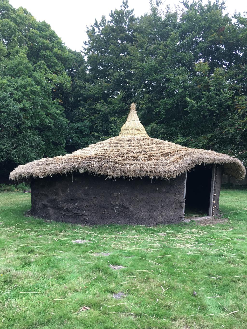 What were round houses? Celts and previous generations lived together in family groups in these one roomed round houses.