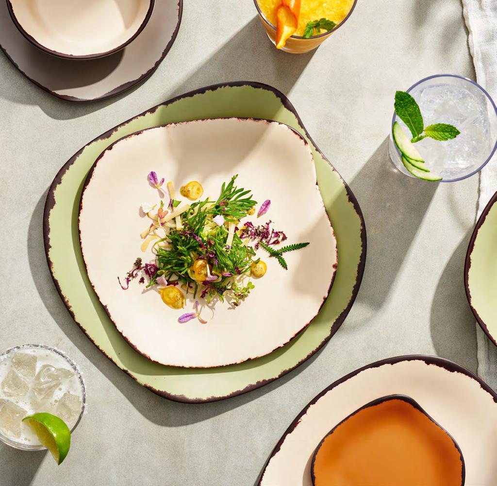 DELFIN marisol rustic farm-to-table meets melamine A great new addition to the melamine dinnerware line is Marisol Rustic.
