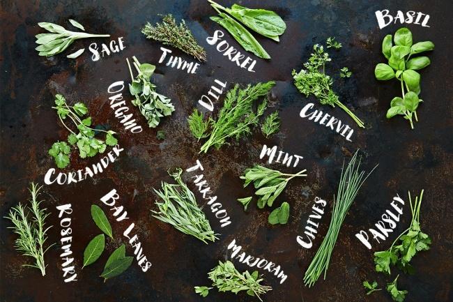 USEFUL RESOURCES HOW TO USE HERBS BY JAMIE OLIVER