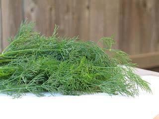 NAME THISSPICE: Romans believed it to be good luck Grows 3 feet tall with feathery leaves Can be added to egg dishes and with cheese ANSWER: Dill Looking Back: Past 5 Years of Recipe/Product