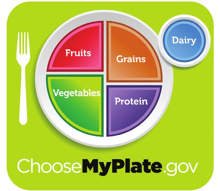 My Pancakes, MyPlate Your child learned about MyPlate today. To remind us of how to eat healthfully, the United States Department of Agriculture created MyPlate.