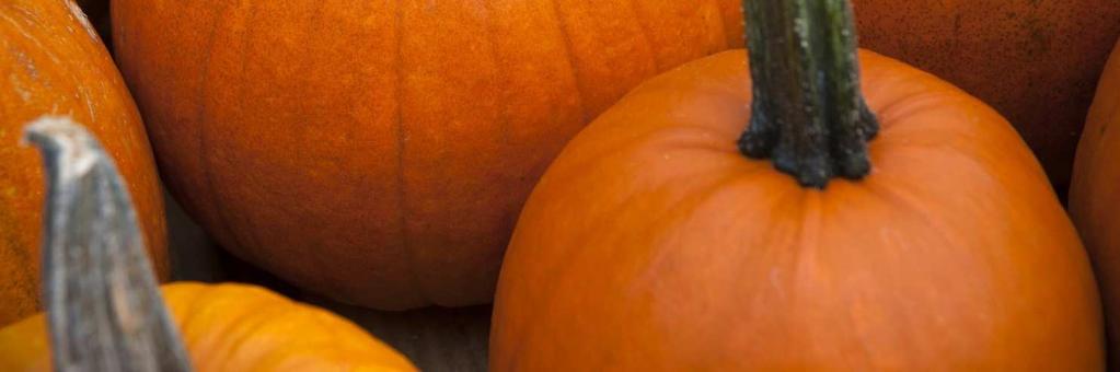 Cow: One of the creamiest pumpkins, with excellent flavor,