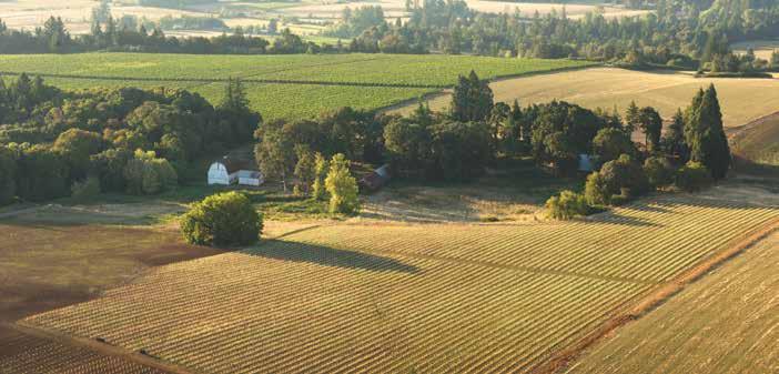 A Native Son s Dream The Willamette Valley is a special place.