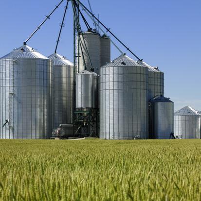 extensive network of farmers and milling facilities offers a consistent product, crop year to crop year.