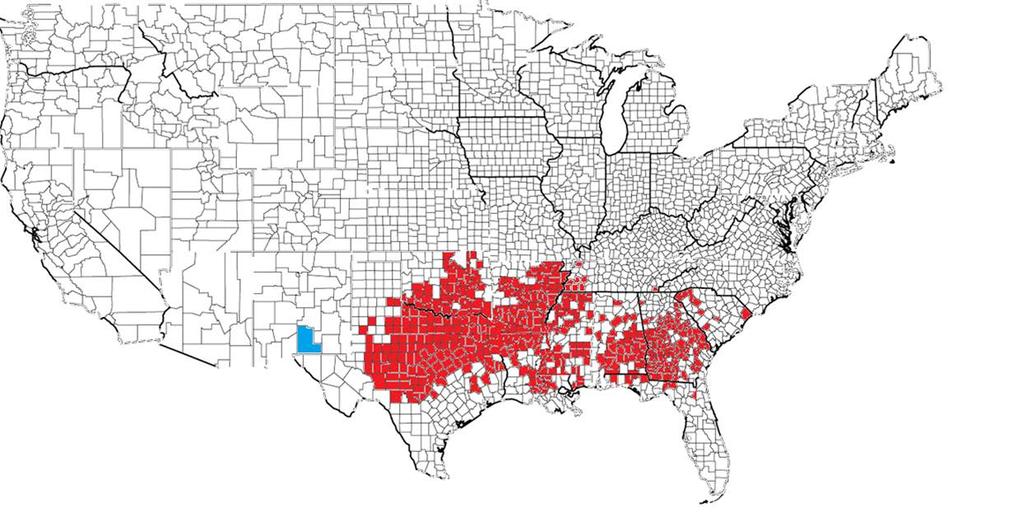 ?? Pecan Weevil Distribution (US-Commercial Pecans)?? 14 hickory spp.