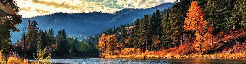 Coming Soon The Flavors of Fall Cookbook Live : Kristen Kish Cooking CATCH A RISING STAR OCTOBER 12 14 While Montana s fall colors are spectacular, Paws Up will be featuring something equally