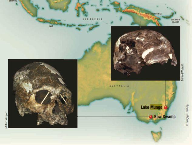 Important fossil finds Asia * Zhoukoudian Caves again -AMH dated ~27 kya Oceania -All Australians descending from participants of a single