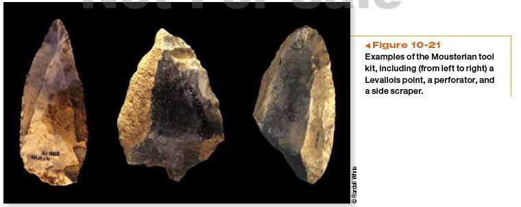 Neandertal material culture * Neandertals improved previous techniques by inventing a new tool tradition, Mousterian.