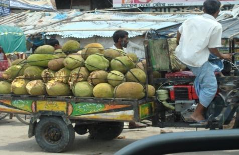 Postharvest losses of major fruits in Bangladesh Papaya 41.49% Mango 39.38% Litchi 20.11% Jackfruit 25.4% Banana 26.63% Fig.