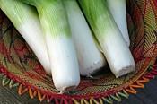 What's in your box this week Leeks Peninsula, 2; Seattle, 4 When leeks are in season, use them as a substitute for onions in any dish.