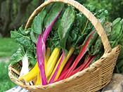Rainbow Chard, 1 bu We thank farm friend Teri Crockett for this tasty recipe. Chard Frittata Saute 1 small chopped onion and stems from 1 bunch chard in olive oil with 1/2 tsp.
