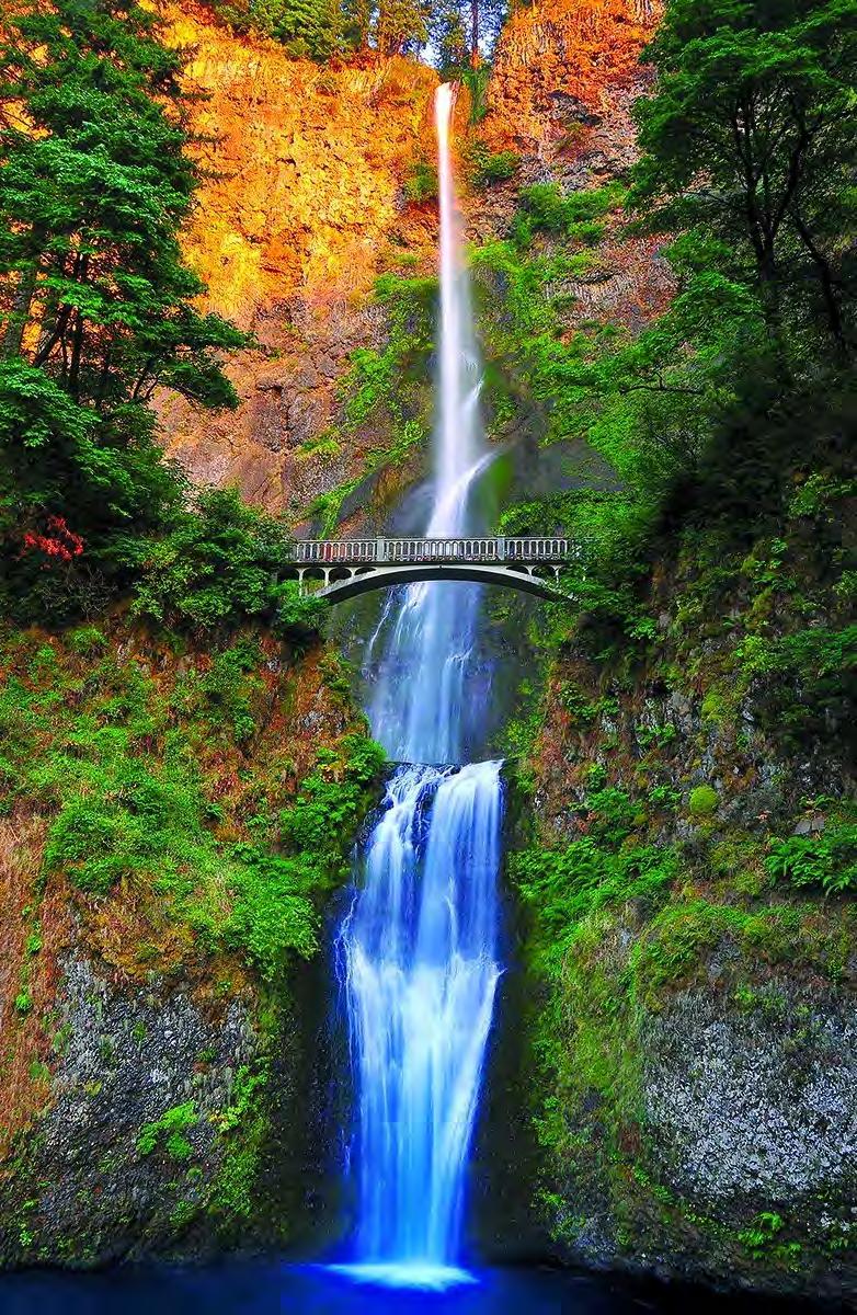 7 SECRET WATERFALLS TOUR Explore the natural beauty surrounding Portland during a half-day secret waterfalls tour! This morning you will explore the natural beauty just outside Portland s city limits.