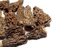 DRIED MUSHROOMS DRIED MUSHROOMS Praised by chefs for their exquisite taste