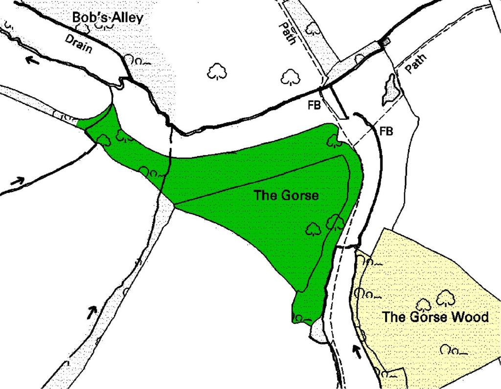 Ep162 The Gorse (5.0 ha) TL 524125 A substantial bank separates this site into two distinct areas of the woodland.