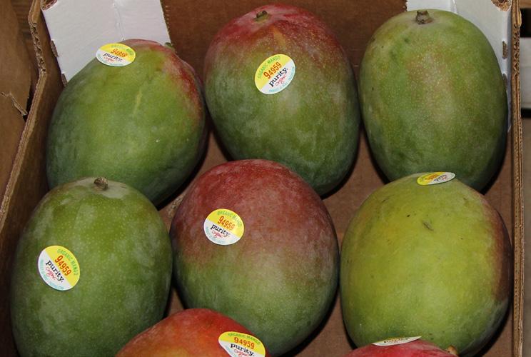 january 6 - JAUARY 13, 2017 MARKET EWS 1 17 FOUR SEASOS PRODUCE og mangos With Ecuadorian Organic Mangos now done, we will be in Peruvian fruit completely going forward.