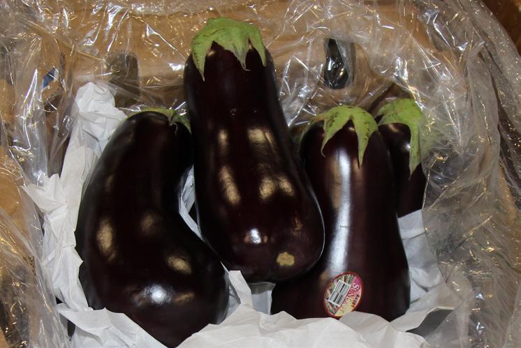 Eggplant still remains very promotable with excellent quality and