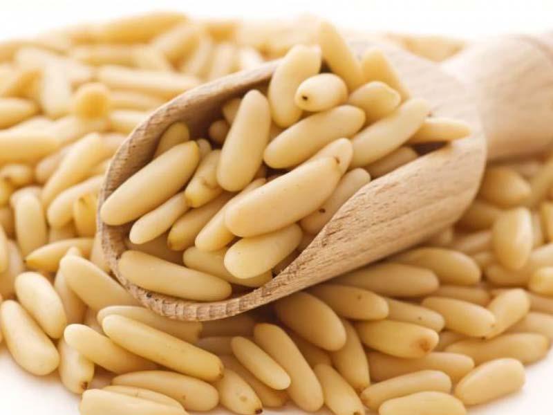 Pine nuts Pine nut is very low in Cholesterol and Sodium. Pine nuts are the edible seeds of pines. About 20 species of pine produce seeds large enough to be worth harvesting.