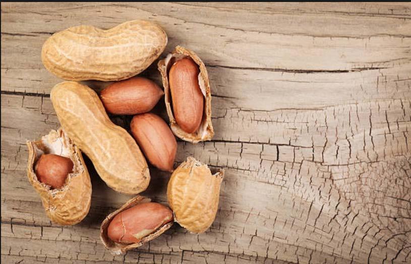 Peanut Peanuts are an excellent source of several B vitamins, vitamin E, several dietary minerals, such as manganese, magnesium and phosphorus and dietary fiber.