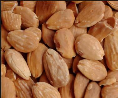 Peeled almonds: top selection almonds from Certified Italian crops.
