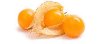 GOLDEN BERRY (Physalis peruviana) The golden berry is a shrub from the Peruvian Andes and grows in warm and dry areas.