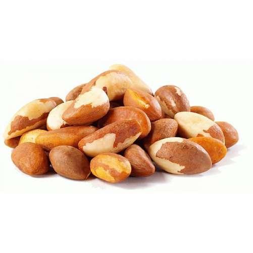 BRAZIL NUT (Bertholletia excels) Brazil nut, also known as chestnut, is native to the forests of the Brazilian, Bolivian and Peruvian Amazon.
