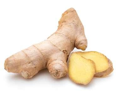 GINGER (Zingiber oficinale) Ginger is a plant with an underground stem called a rhizome.