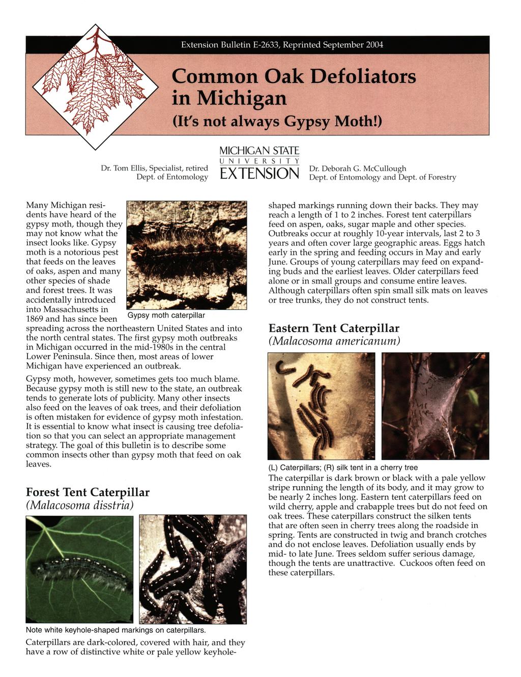Extension Bulletin E-2633, Reprinted September 2004 Common Oak Defoliators in Michigan (It's not always Gypsy Moth!) MICHIGAN STATE U N I V E R S I T Y Dr. Tom Ellis, Specialist, retired Dept.