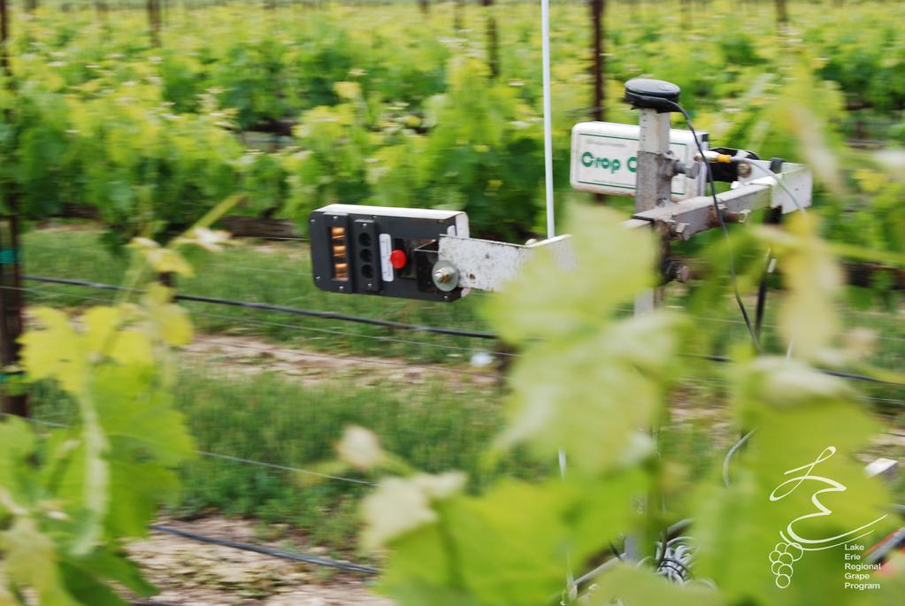 Business Management Kevin Martin, Penn State University, LERGP, Business Management Educator NDVI Sensors In Commercial Vineyards Please contact LERGP if you are interested in having NDVI sensors