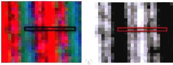 (a) (b) Figure 7-25: (a) CIR and (b) NDVI images from Red Paw 2, Pinot
