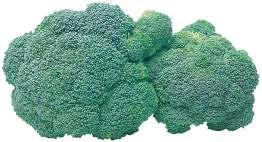 Thighs High in Fiber & Vitamin C Broccoli