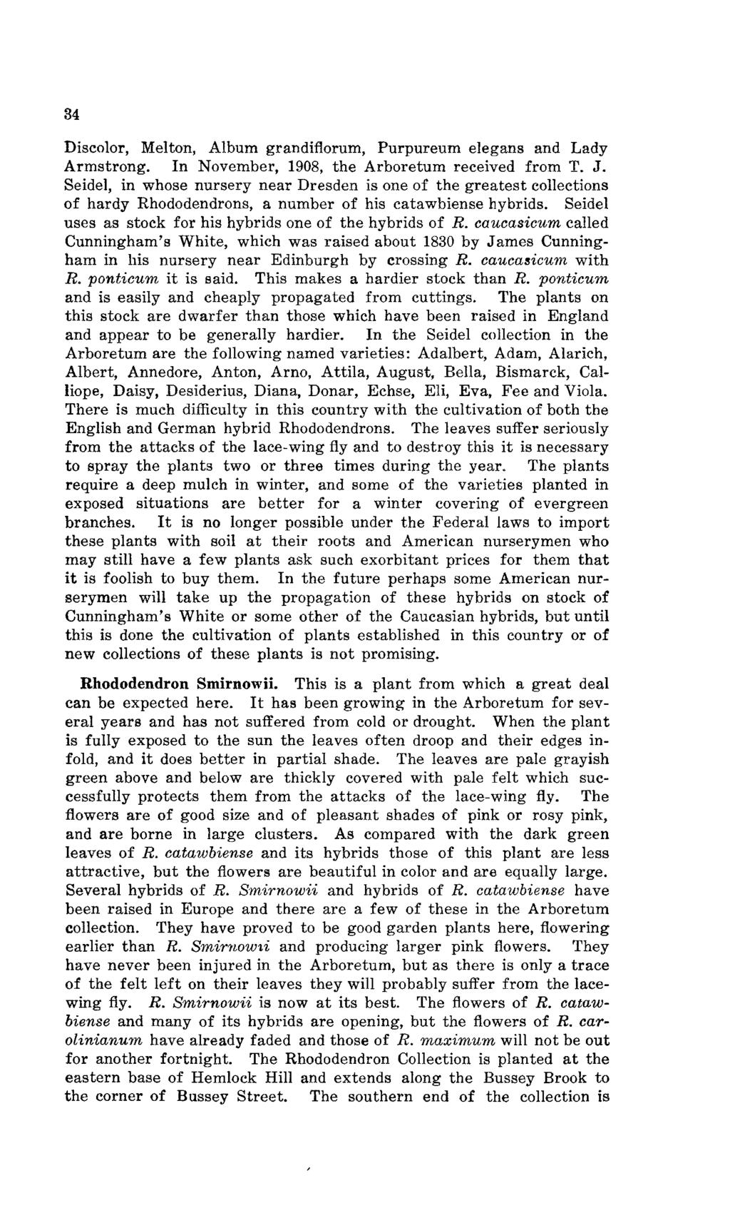 34 Discolor, Melton, Album grandiflorum, Purpureum elegans and Lady Armstrong. In November, 1908, the Arboretum received from T. J.