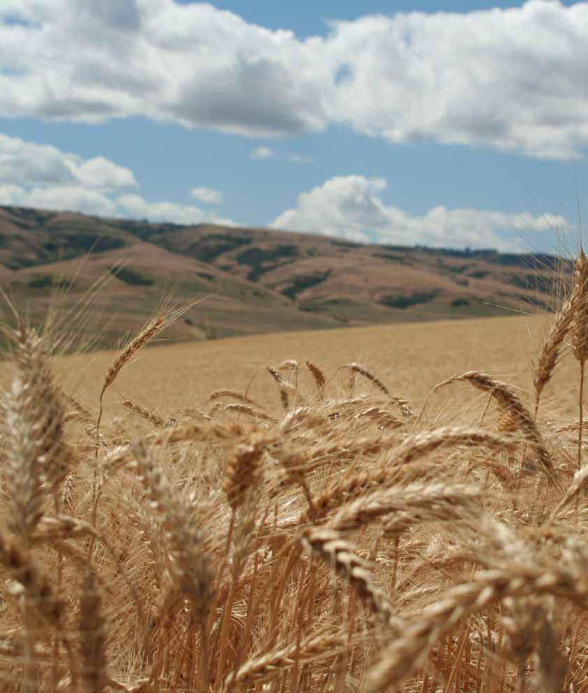OREGON WHEAT GROWERS LEAGUE The FIRST Commodity Association of its kind - since 1926 Still the leader in advocacy and education Join today at gl.