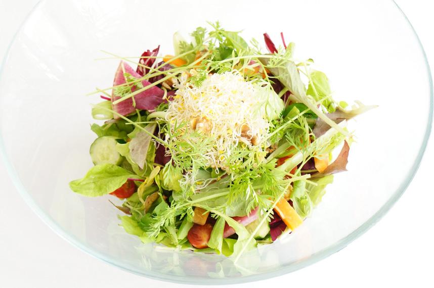 Salads 1, The healthy salad (for 2-3) 1800 Salad with seasonal vegetables and