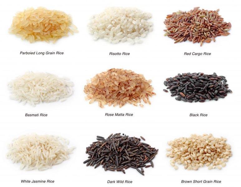 OTHER PRODUCTS : RICE : WE SUPPLY ALL