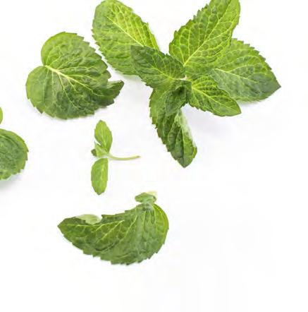 fresh mint, leaves picked and finely sliced Pepper to season 160g