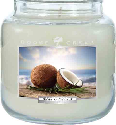 Orange, pineapple, coconut, musk, and vanilla. Blissful Hibiscus The potent aroma of a tropical centerpiece.