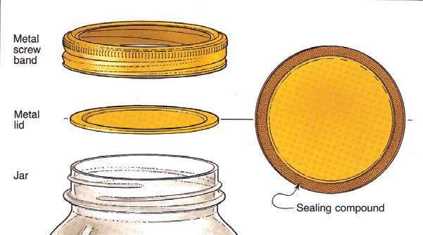 NOT REUSEABLE STOCK UP Band Threaded metal screw band fits over rim of jar and holds lid in place during processing