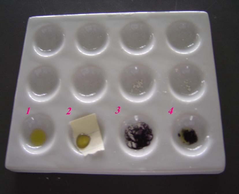 Iodine test of the white powder 1 2 3 4 1-Control 2 - Paper which wrapped the powder with iodine solution 3