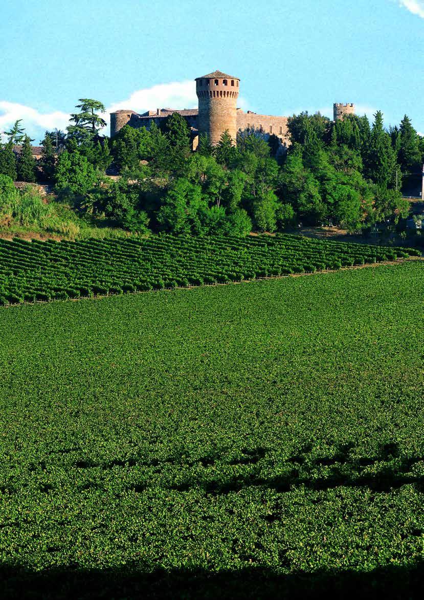 CASTELLO DELLA SALA ITALY - UMBRIA (WHITE) Our only selection of wines from Umbria come from from Castello della Sala.