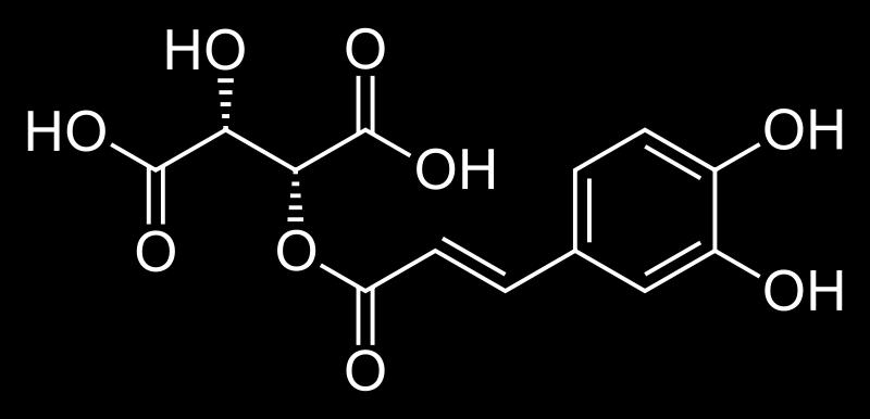 syringic acid p-coumaric acid from 60.5 (Schwarzriesling, 2002) to 973.