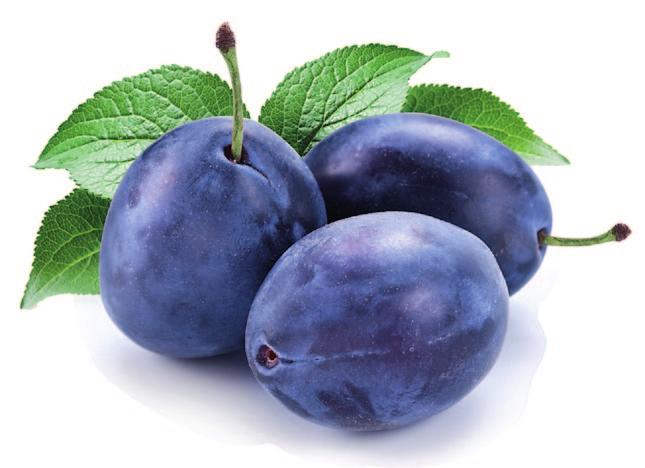 PLUM The production of plums in Poland reaches 200 thousand ton annually. Plumes provide the body with a lot of minerals, vitamins and pectin.