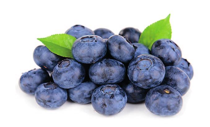 BLUE BERRY The worldwide production of blueberry is estimated at around 100 thousand tons of fresh fruits harvested on 30 thousand ha.
