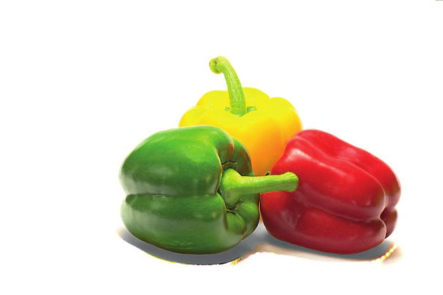 CAPSICUM The production of capsicum in Poland reaches 30 years old. At the beginning, the production of the vegetable was dedicated to local market only.
