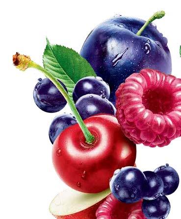 72 kg SOUR CHERRY BLUEBERRY FRUIT MIX A WIDE RANGE OF NECTARS OFFERS ENJOYMENT IN