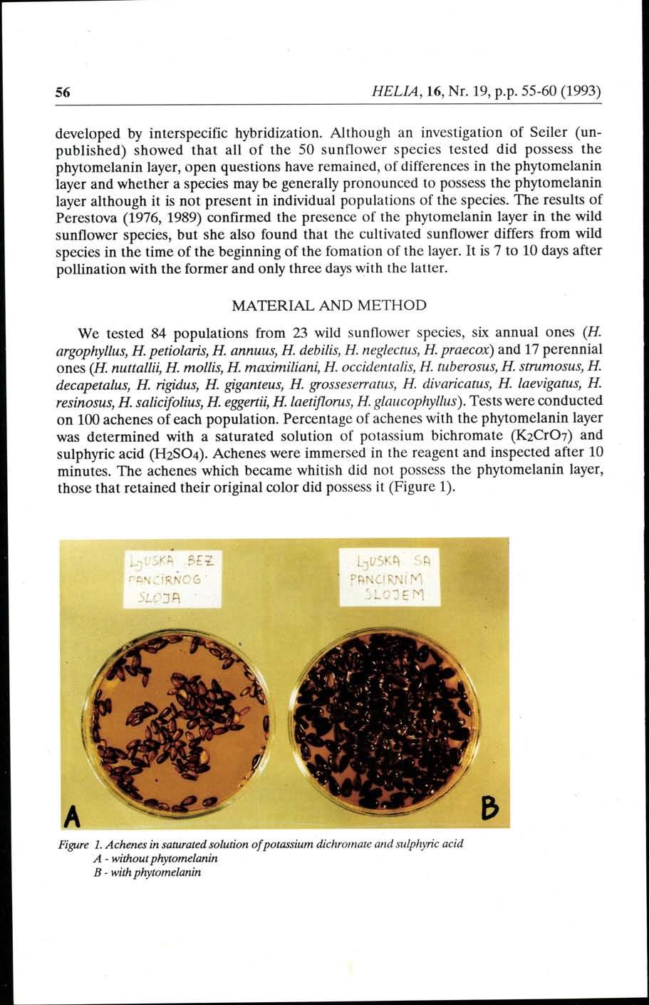 56 HELU,16, Nr. 19, p.p.55-60 (1993) developed by interspecific hybridization.
