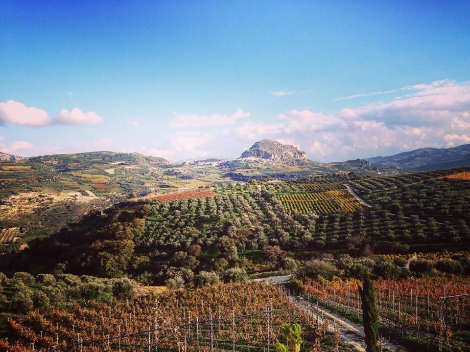 Dafnes in Crete near the city of Irakleion One of his most celebrated vineyards is Aspros Lagos (pictured below) where he sources grapes both for the white Aspros Lagos version of his 100% Vidiano